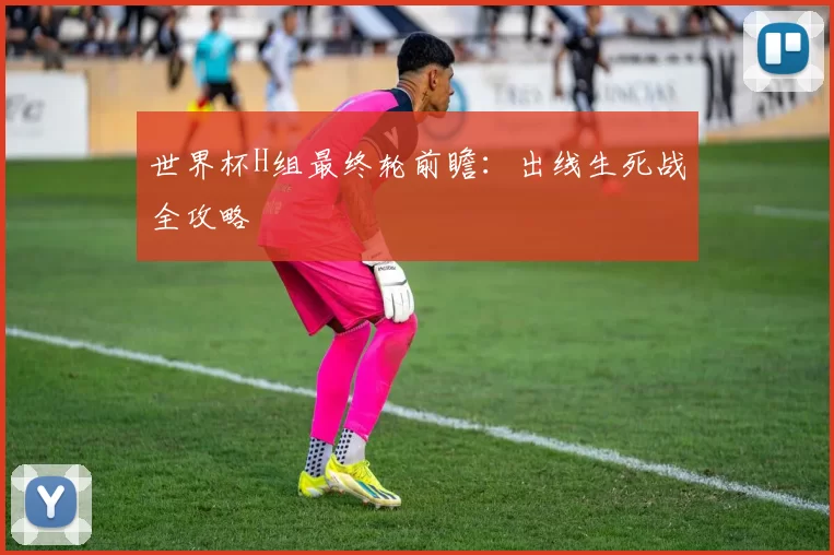 世界杯H组最终轮前瞻:出线生死战全攻略