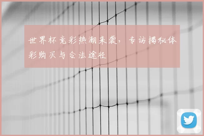 世界杯竞彩热潮来袭,专访揭秘体彩购买与合法途径