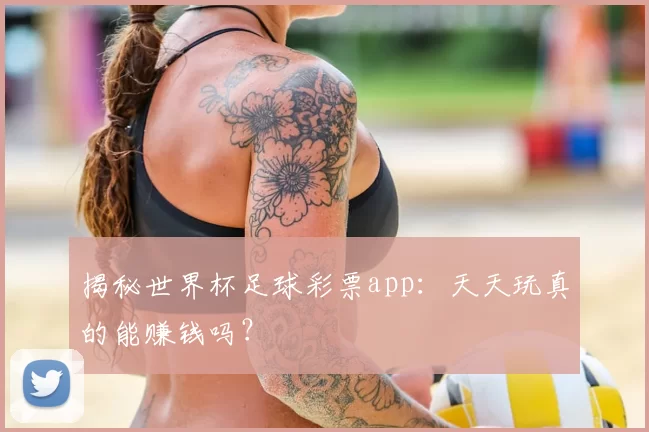 揭秘世界杯足球彩票app:天天玩真的能赚钱吗?