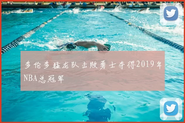 多伦多猛龙队击败勇士夺得2019年NBA总冠军