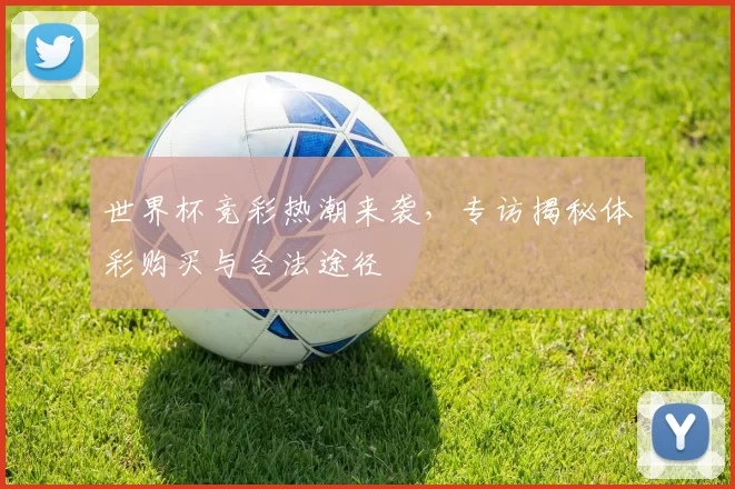 世界杯竞彩热潮来袭,专访揭秘体彩购买与合法途径