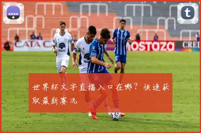 世界杯文字直播入口在哪?快速获取最新赛况