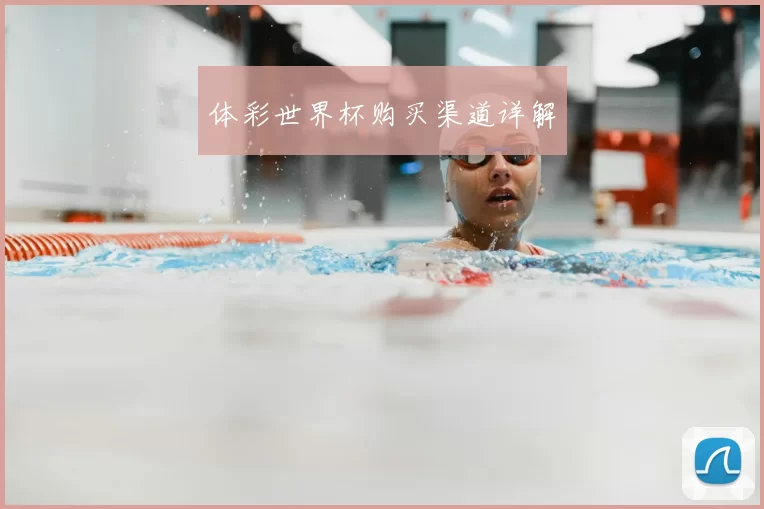 体彩世界杯购买渠道详解