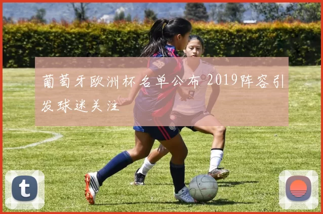 葡萄牙欧洲杯名单公布 2019阵容引发球迷关注
