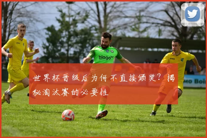 世界杯晋级后为何不直接颁奖?揭秘淘汰赛的必要性