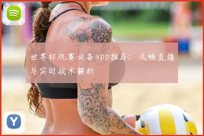 世界杯观赛必备app推荐：流畅直播与实时战术解析