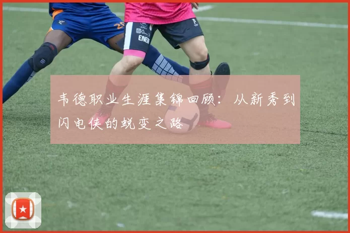 韦德职业生涯集锦回顾：从新秀到闪电侠的蜕变之路