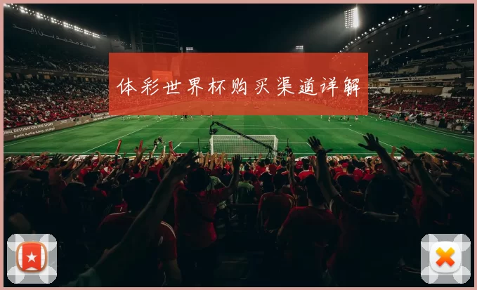 体彩世界杯购买渠道详解