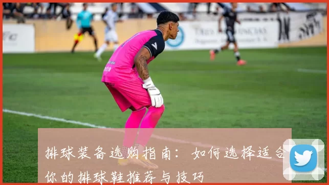 排球装备选购指南:如何选择适合你的排球鞋推荐与技巧