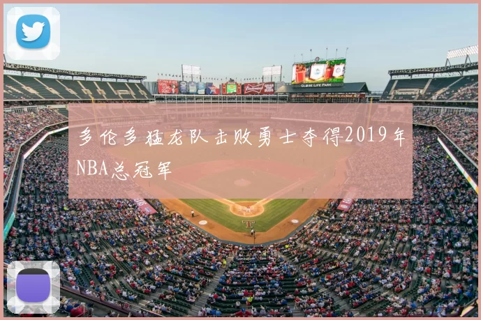 多伦多猛龙队击败勇士夺得2019年NBA总冠军